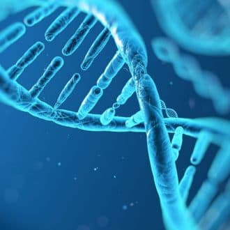 DNA based lifestyle