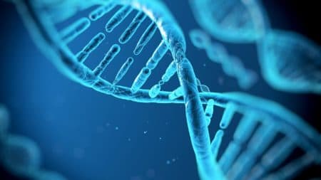 DNA based lifestyle